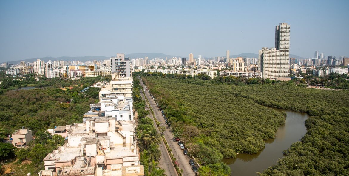 shutterstock_wetlands-pathways-resilient-cities-India-forum-nature-based-solutions.jpg